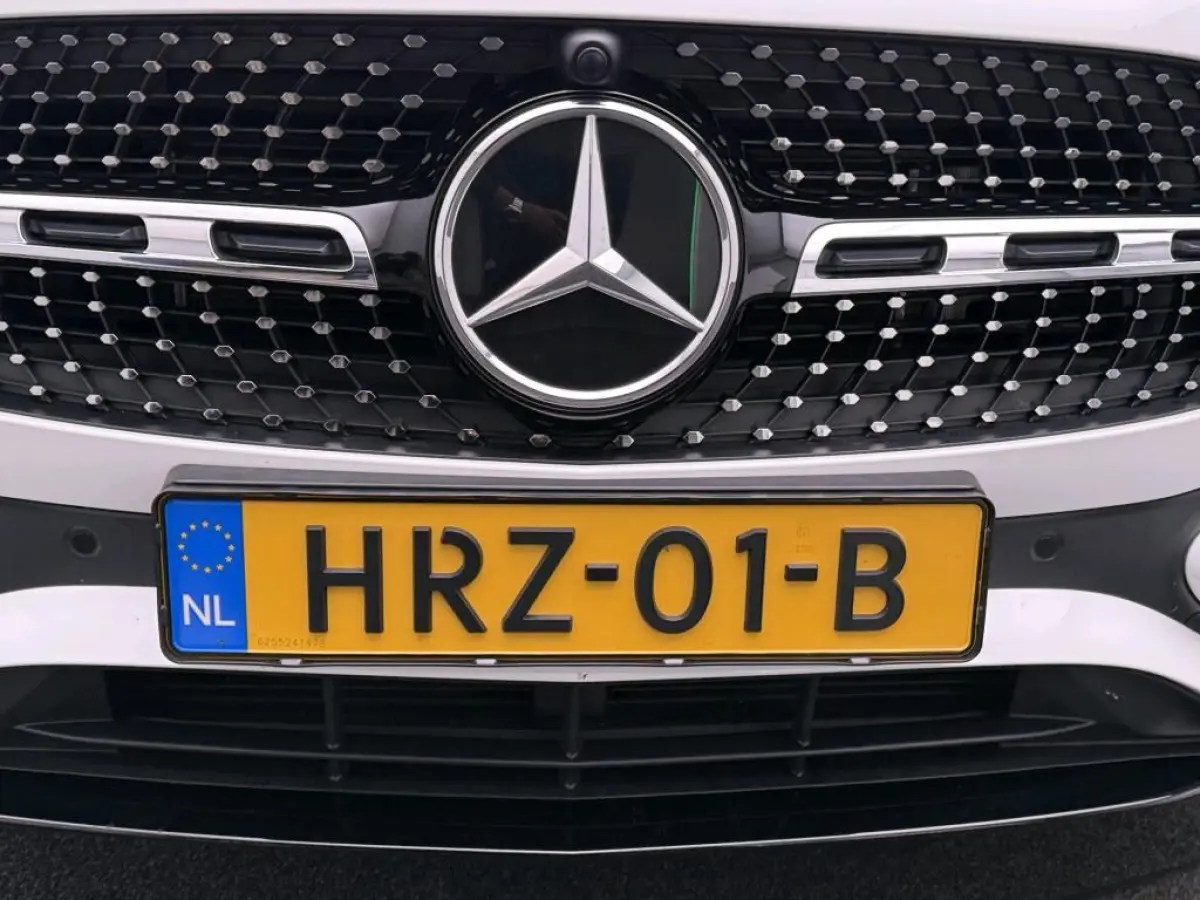 250 e Business Solution AMG Nightpakket / Trekhaak / Panoramadak / Keyless /  Stoelverwarming