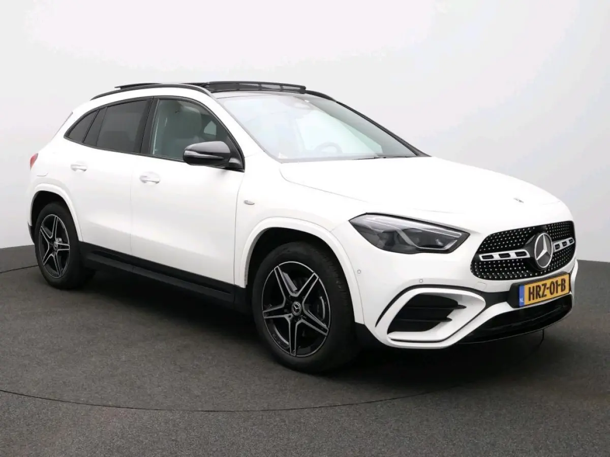 250 e Business Solution AMG Nightpakket / Trekhaak / Panoramadak / Keyless /  Stoelverwarming