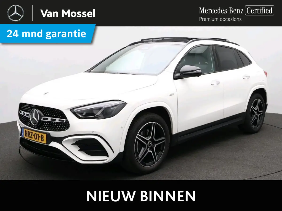 250 e Business Solution AMG Nightpakket / Trekhaak / Panoramadak / Keyless /  Stoelverwarming