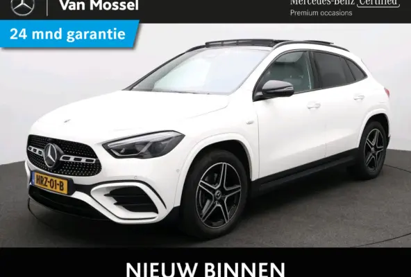 250 e Business Solution AMG Nightpakket / Trekhaak / Panoramadak / Keyless /  Stoelverwarming