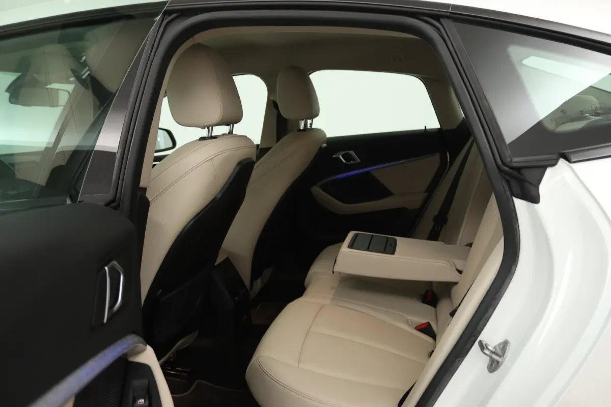220i Business Edition (CRUISE CONTROL, NAVIGATIE, SFEERVERLICHTING)