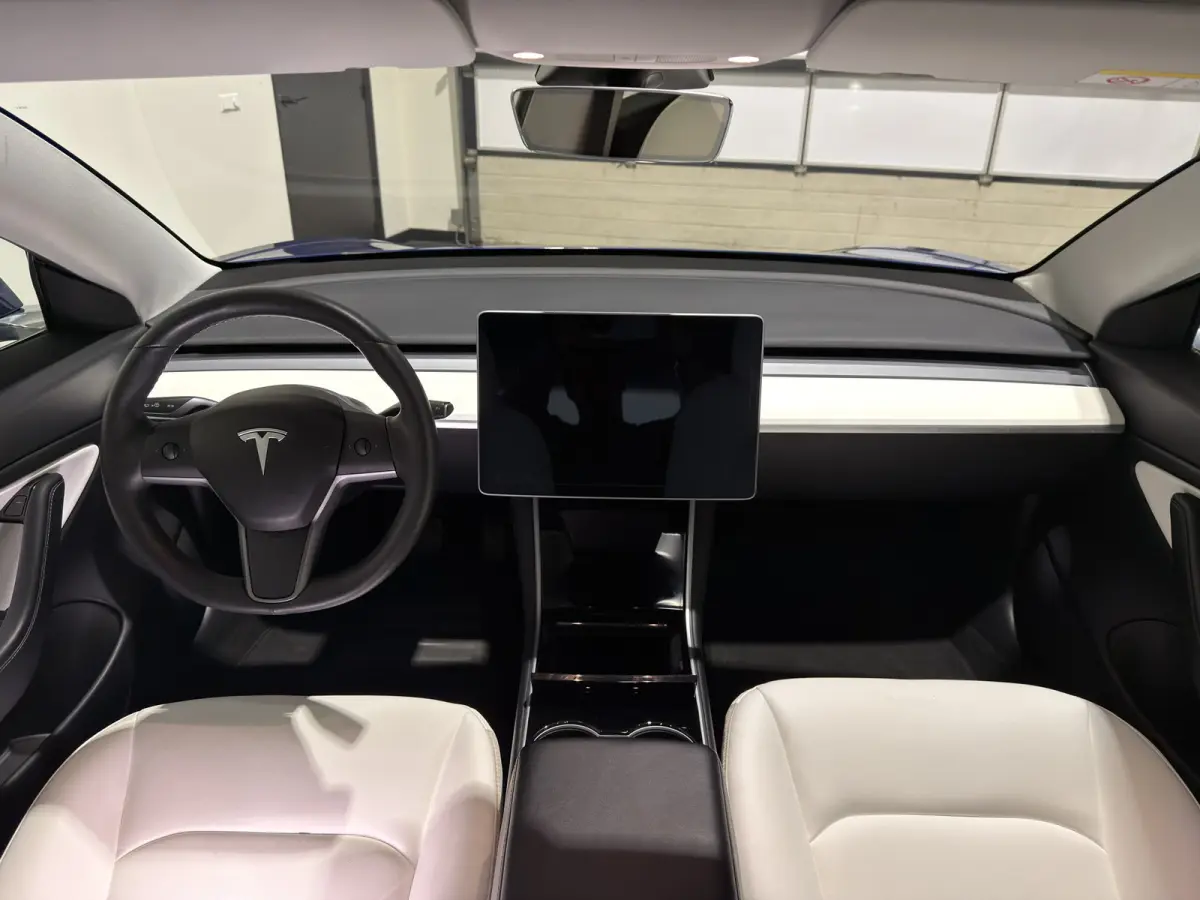 Standard RWD Plus 60 kWh | SOH 82,4% | Premium wit interieur | Trekhaak | ACC | Keurige auto