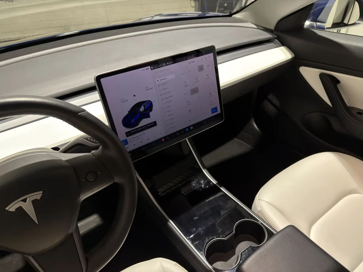 Standard RWD Plus 60 kWh | SOH 82,4% | Premium wit interieur | Trekhaak | ACC | Keurige auto