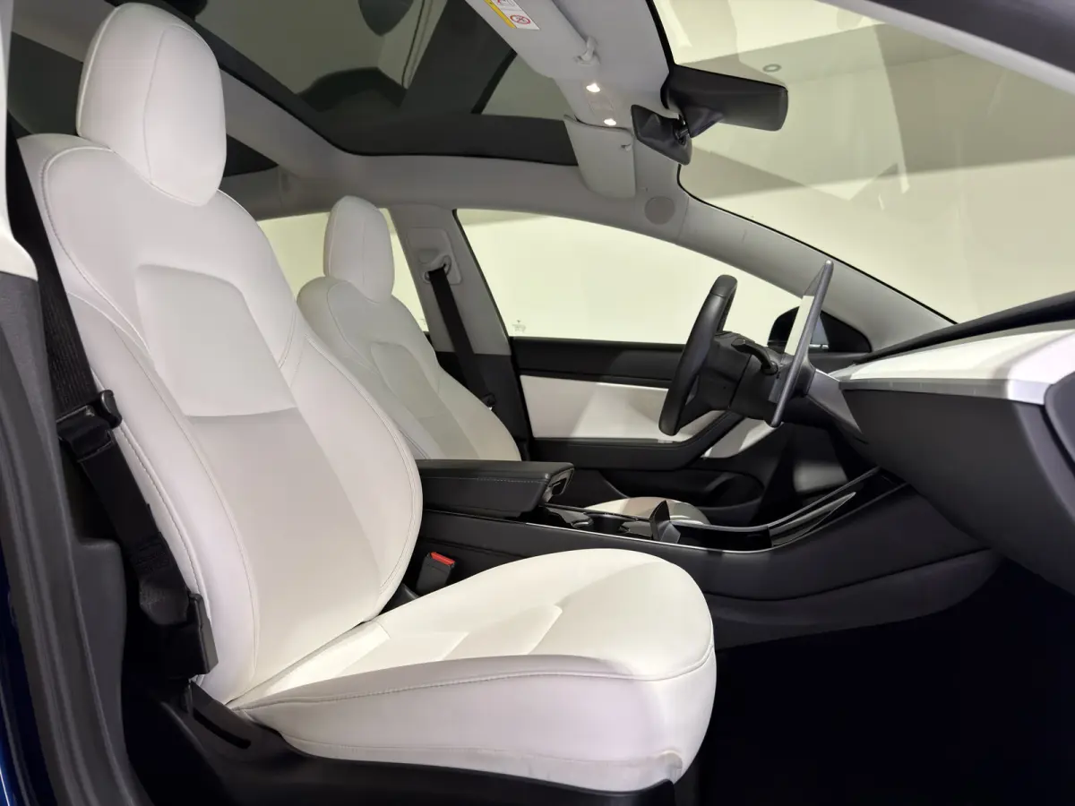 Standard RWD Plus 60 kWh | SOH 82,4% | Premium wit interieur | Trekhaak | ACC | Keurige auto