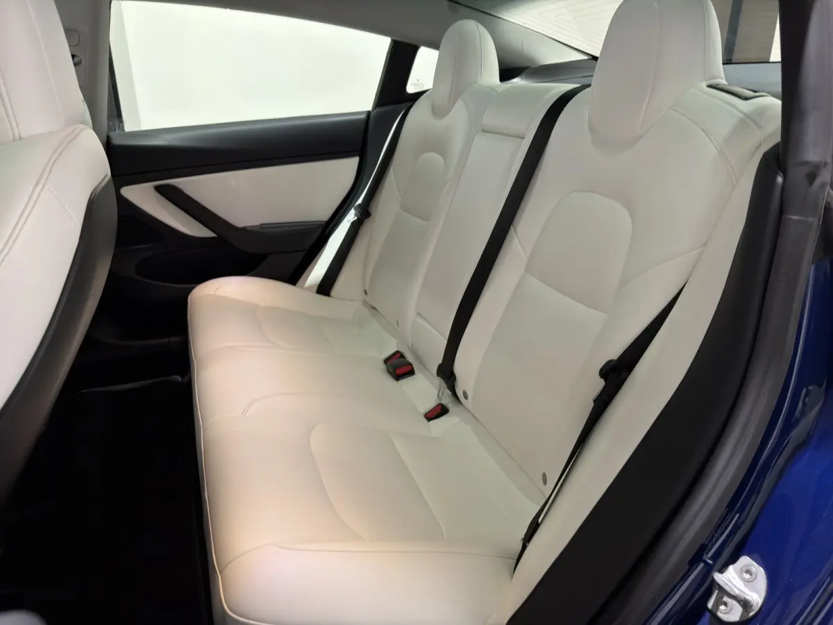 Standard RWD Plus 60 kWh | SOH 82,4% | Premium wit interieur | Trekhaak | ACC | Keurige auto