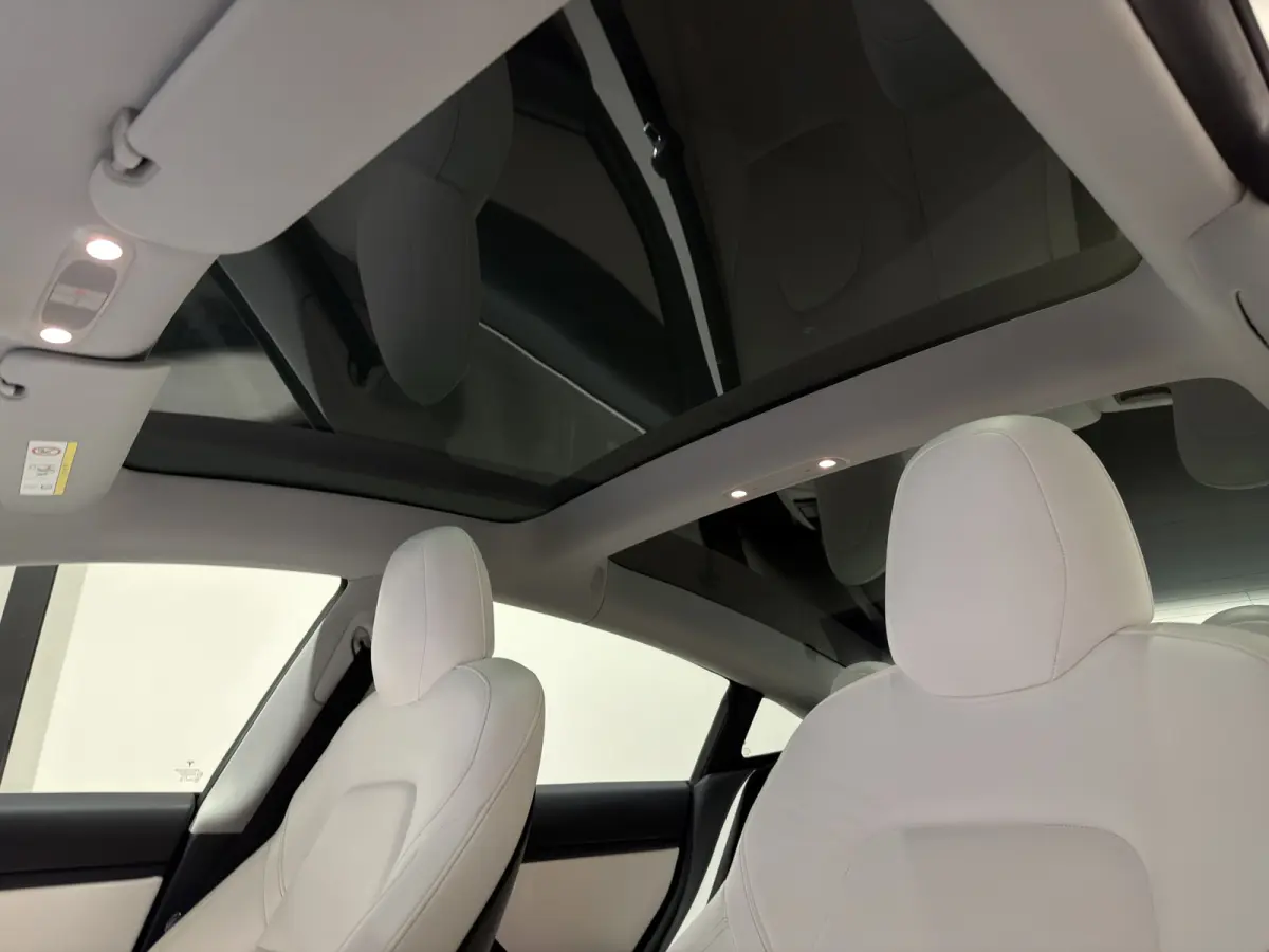 Standard RWD Plus 60 kWh | SOH 82,4% | Premium wit interieur | Trekhaak | ACC | Keurige auto