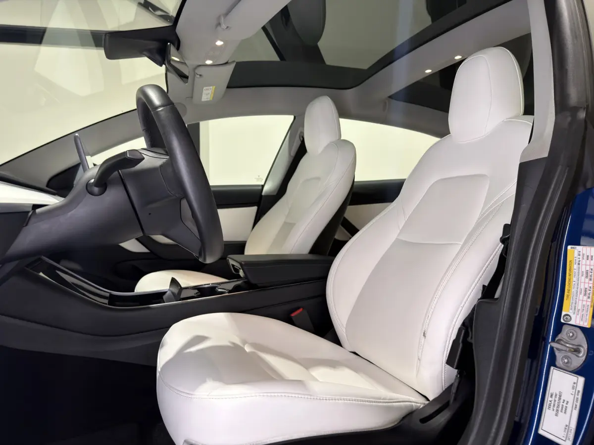 Standard RWD Plus 60 kWh | SOH 82,4% | Premium wit interieur | Trekhaak | ACC | Keurige auto
