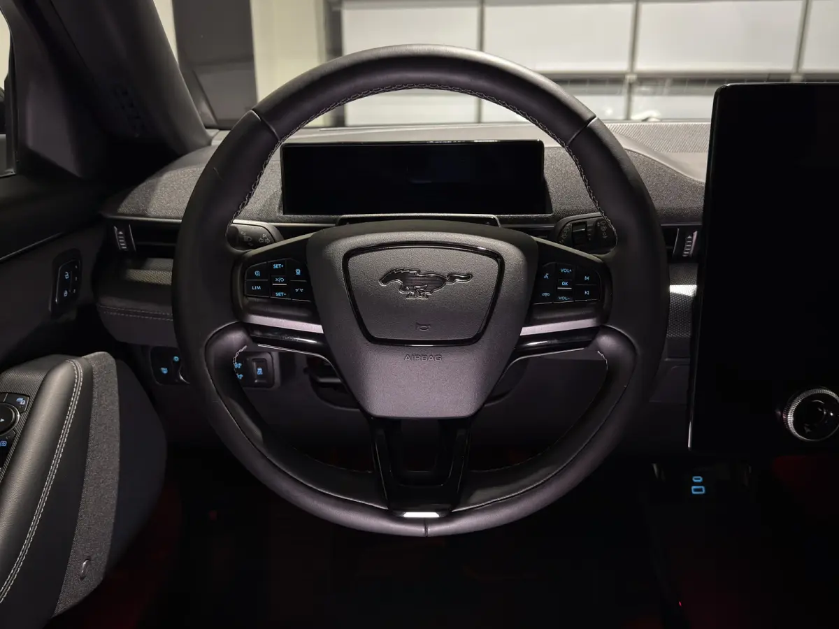 GT Extended AWD 98 kWh | SOH 95,2% | Panoramadak | Trekhaak | B&O Audio | 360 Cam