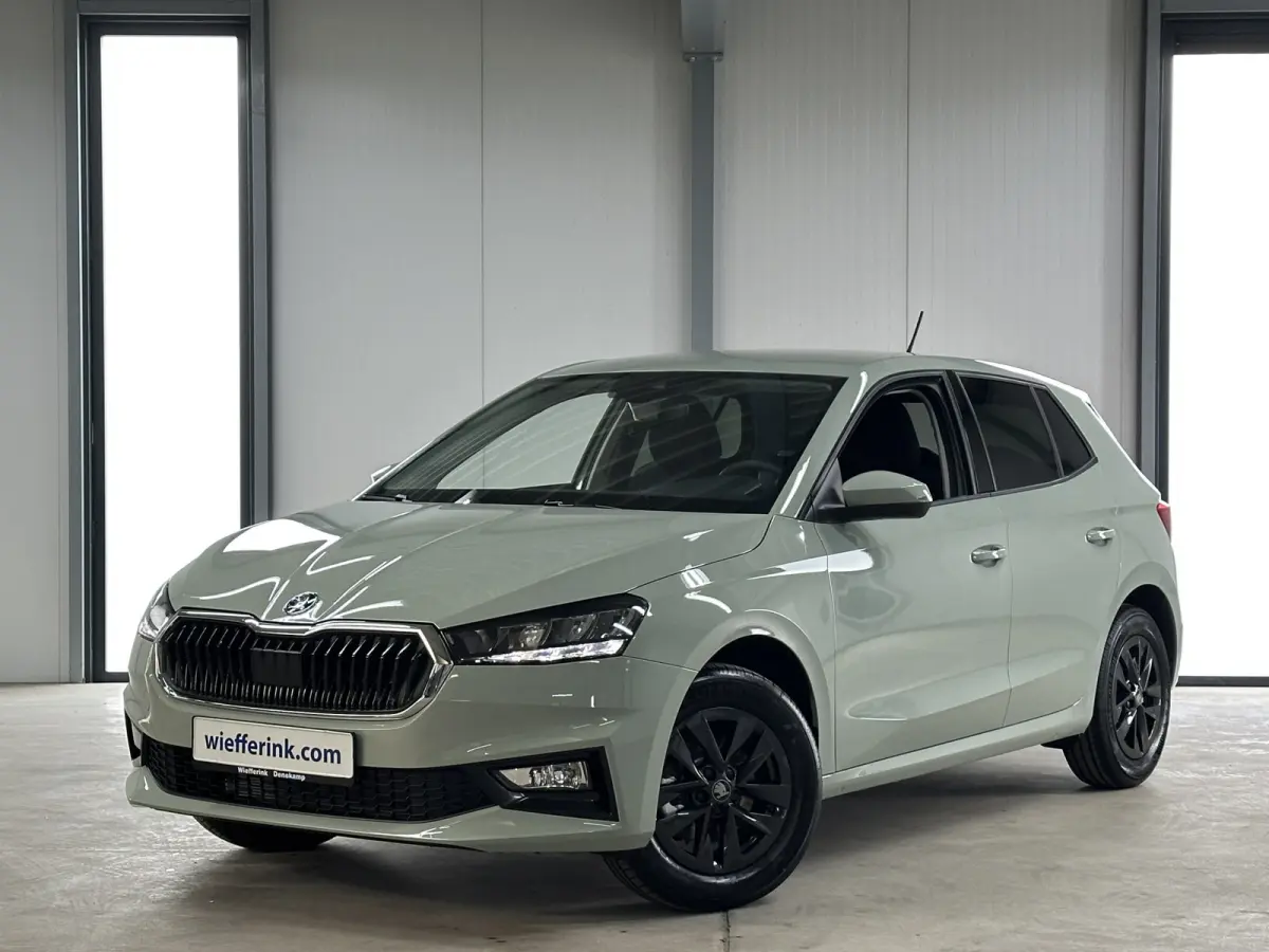 1.0 TSI 115 pk DSG Edition | Apple Carplay/Android Auto | Camera | Winter Pakket |