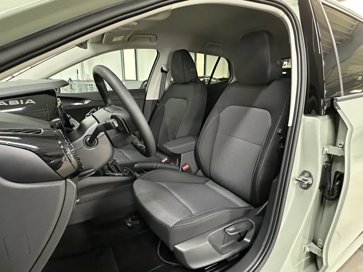 1.0 TSI 115 pk DSG Edition | Apple Carplay/Android Auto | Camera | Winter Pakket |