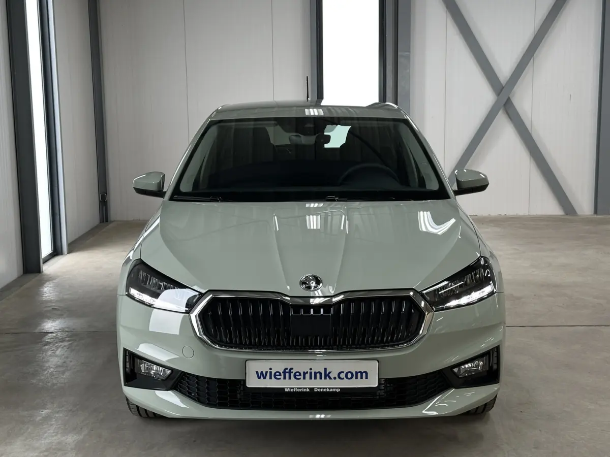 1.0 TSI 115 pk DSG Edition | Apple Carplay/Android Auto | Camera | Winter Pakket |