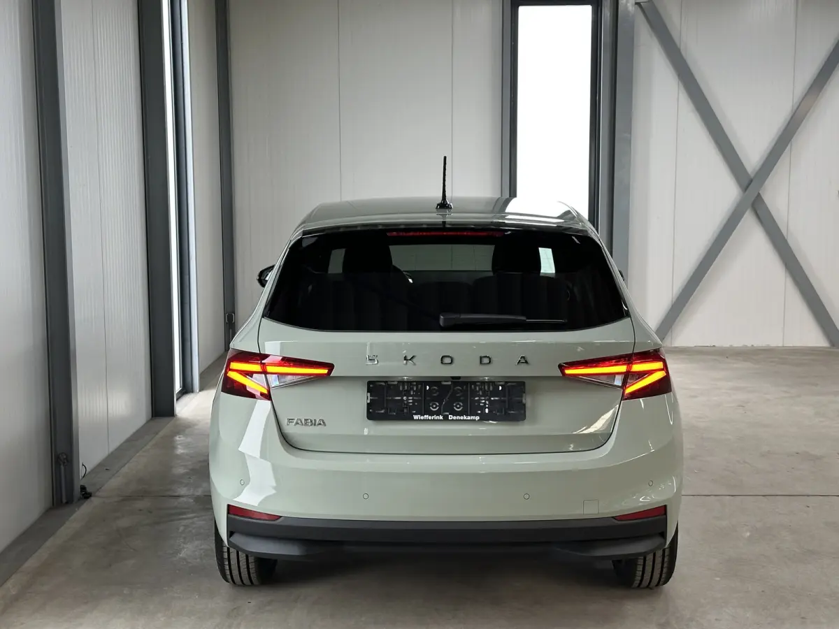 1.0 TSI 115 pk DSG Edition | Apple Carplay/Android Auto | Camera | Winter Pakket |