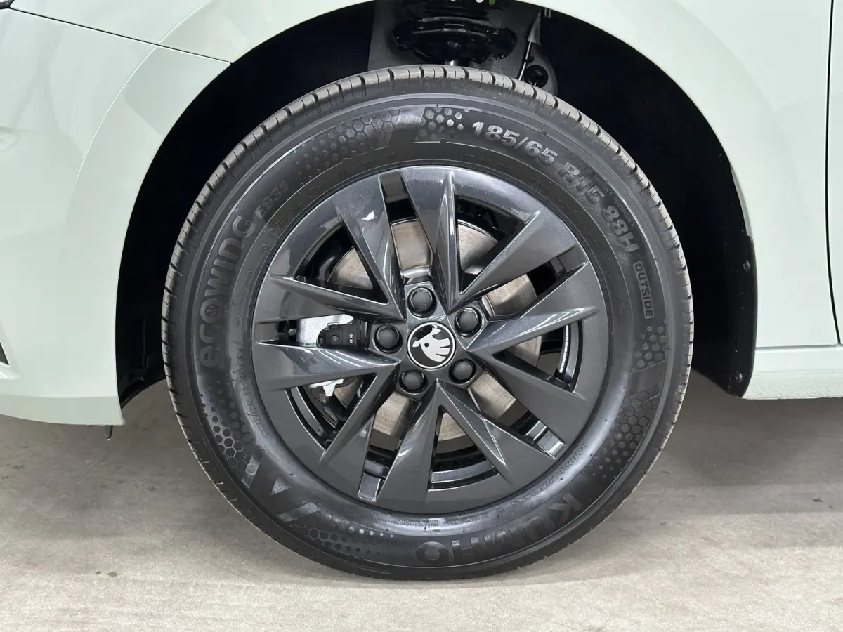 1.0 TSI 115 pk DSG Edition | Apple Carplay/Android Auto | Camera | Winter Pakket |