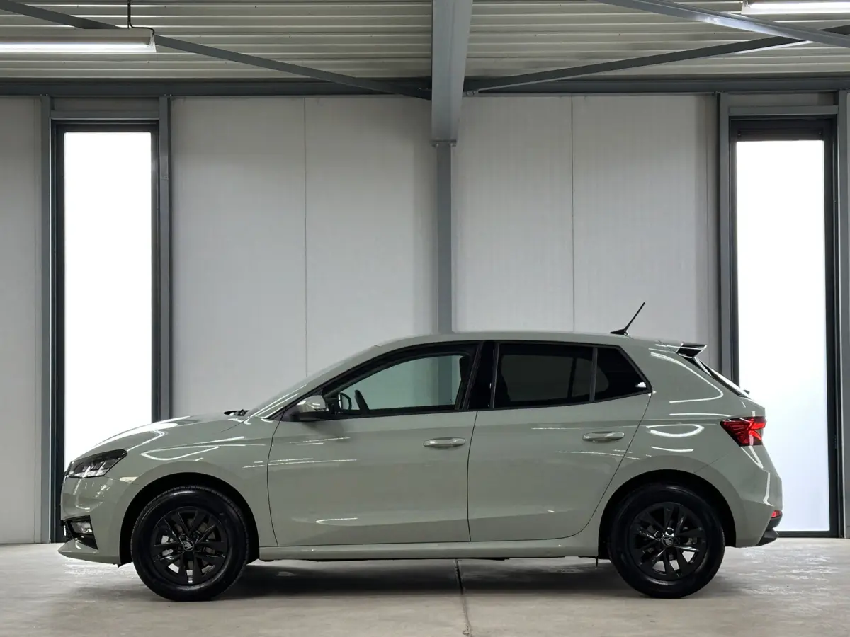 1.0 TSI 115 pk DSG Edition | Apple Carplay/Android Auto | Camera | Winter Pakket |