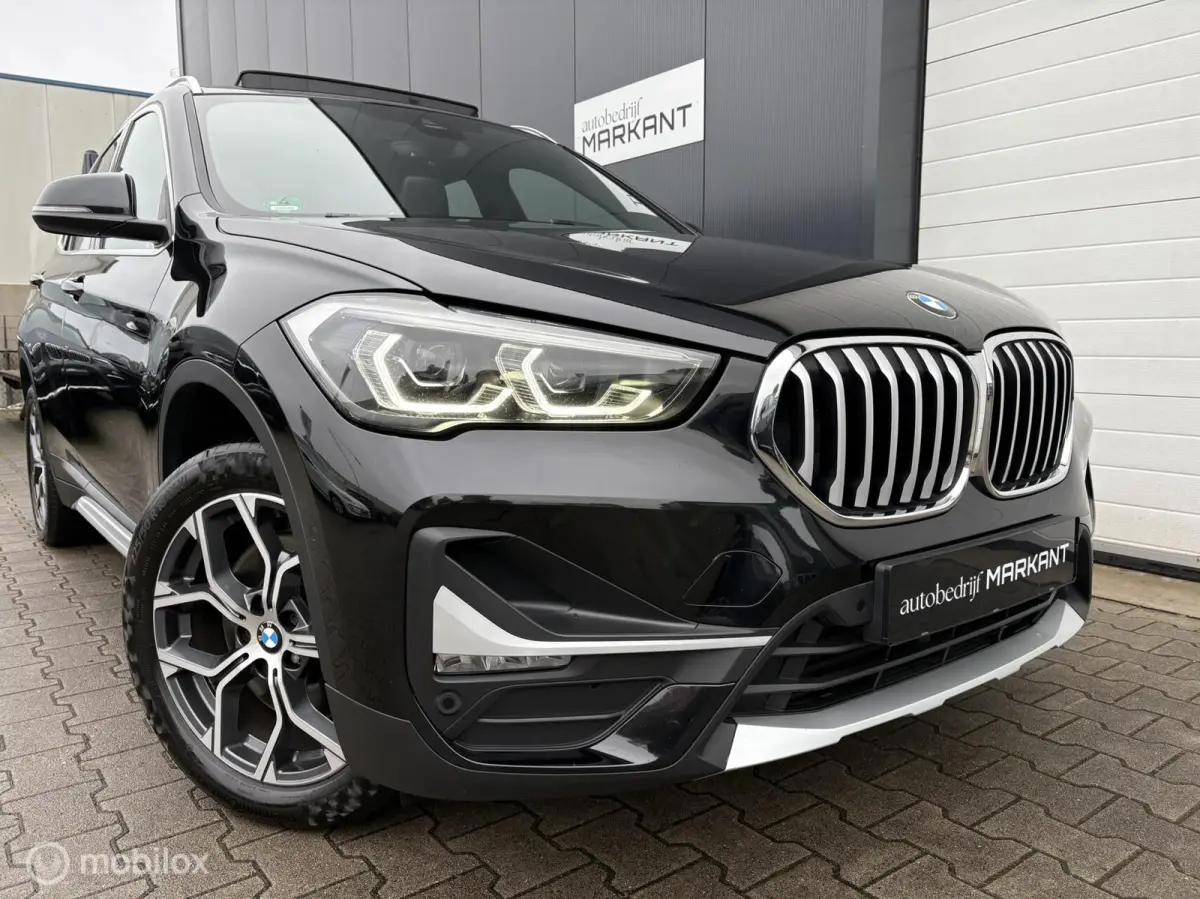 20i sDrive Panorama / HUD / Trekhaak / Leder / LM 18"
