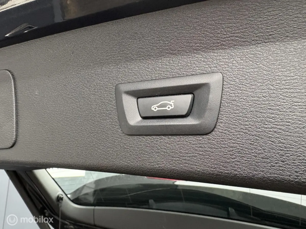 20i sDrive Panorama / HUD / Trekhaak / Leder / LM 18"