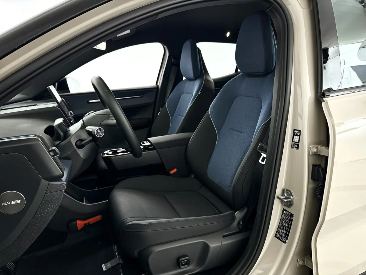 P3 Long Range Plus Europa 69 kWh | Parkeercamera | Harman Kardon | Stoel- en stuurverwarming | Elektrische stoelen