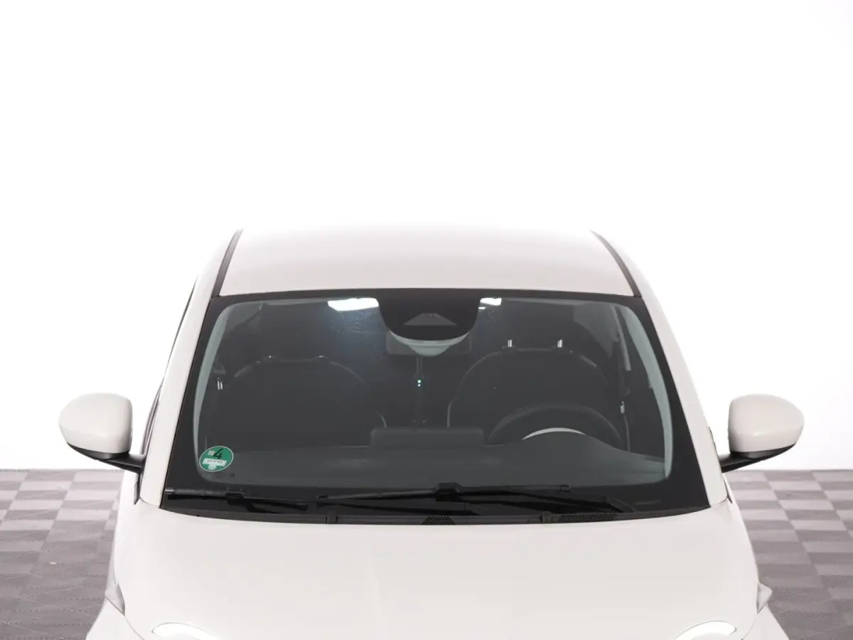 Icon 42 kWh | CAMERA | ECC | VELGEN | SOH: 96,86%!