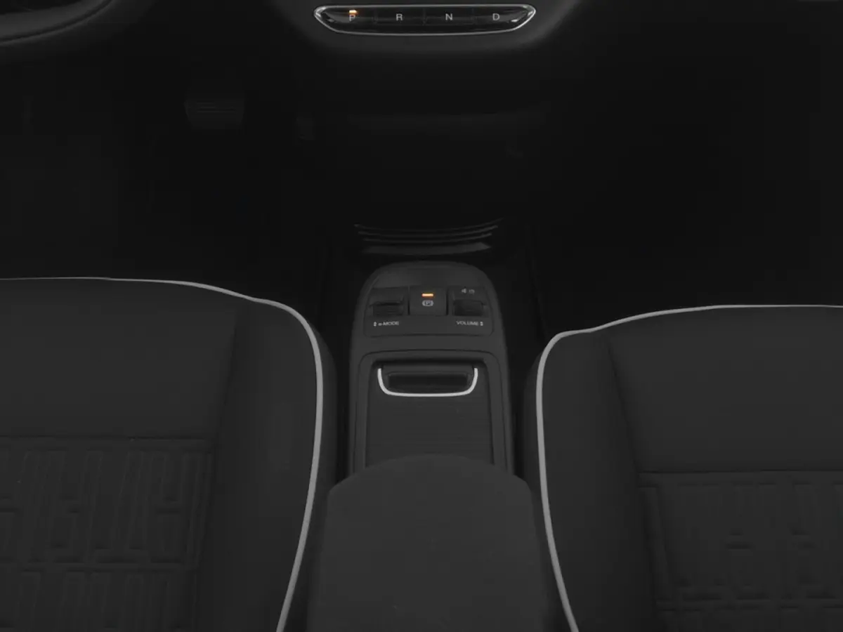Icon 42 kWh | CAMERA | ECC | VELGEN | SOH: 96,86%!