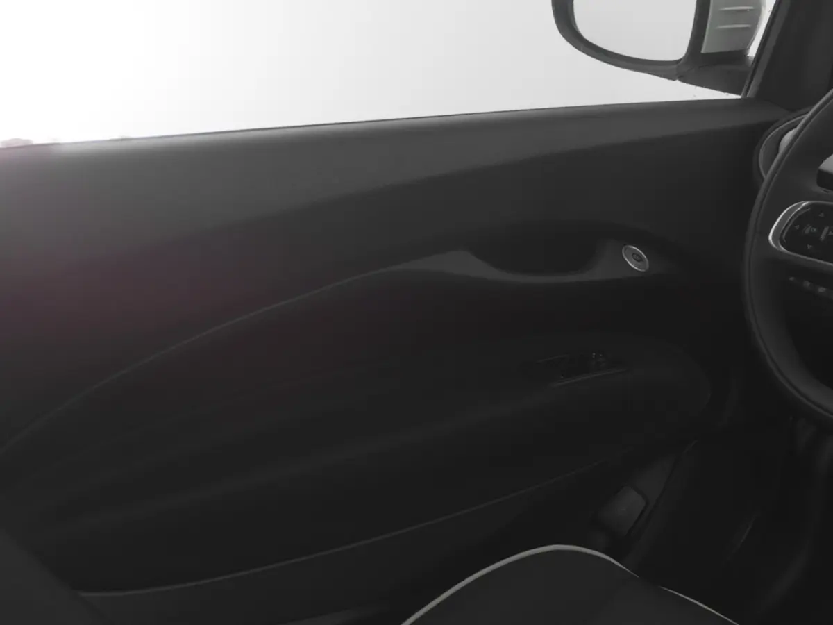 Icon 42 kWh | CAMERA | ECC | VELGEN | SOH: 96,86%!