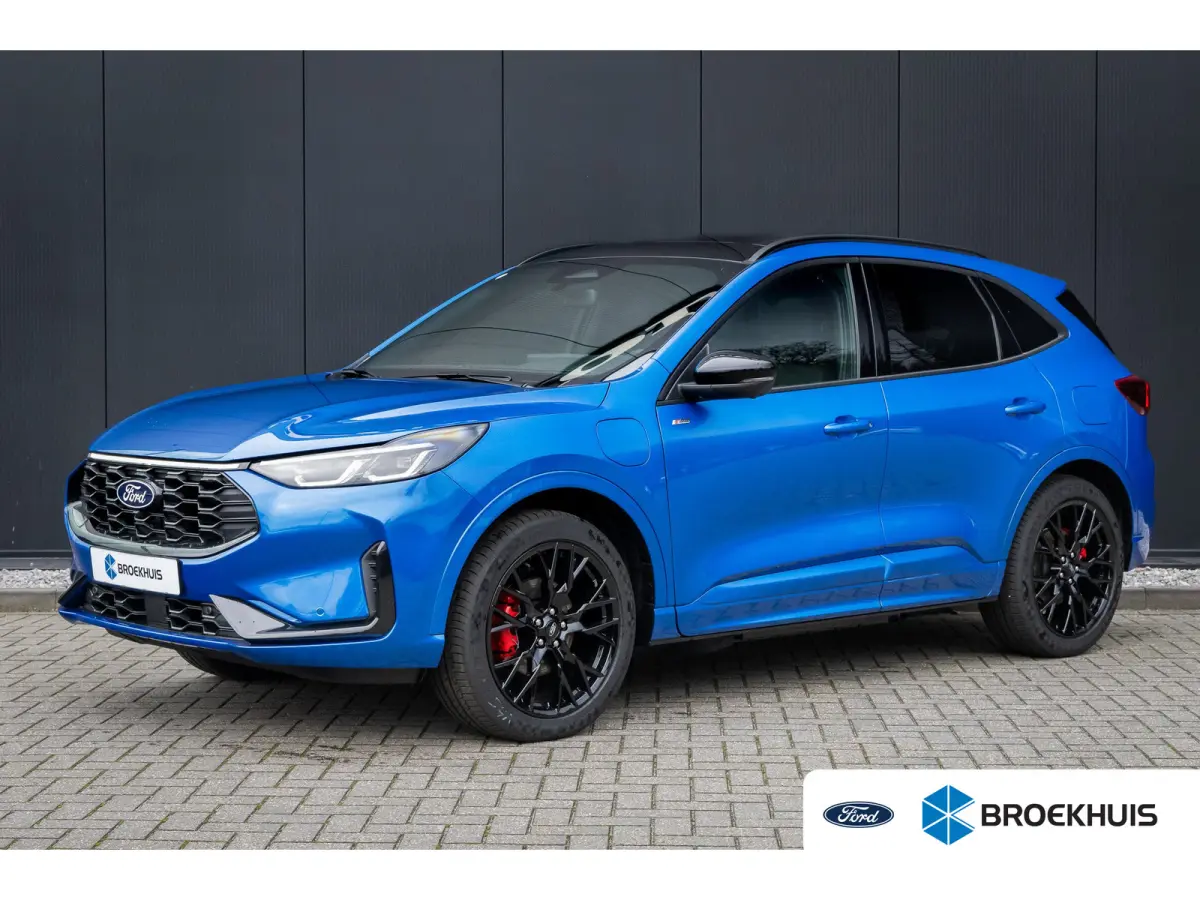 2.5 PHEV ST-Line X | Trekhaak | Panoramadak | Matrix LED | Black-Pack