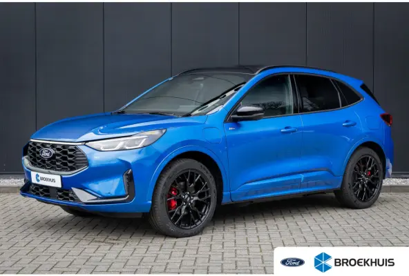 2.5 PHEV ST-Line X | Trekhaak | Panoramadak | Matrix LED | Black-Pack