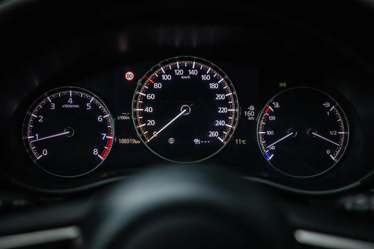 2.0 e-SkyActiv-X M Luxury |Nap |Leder |Trekhaak