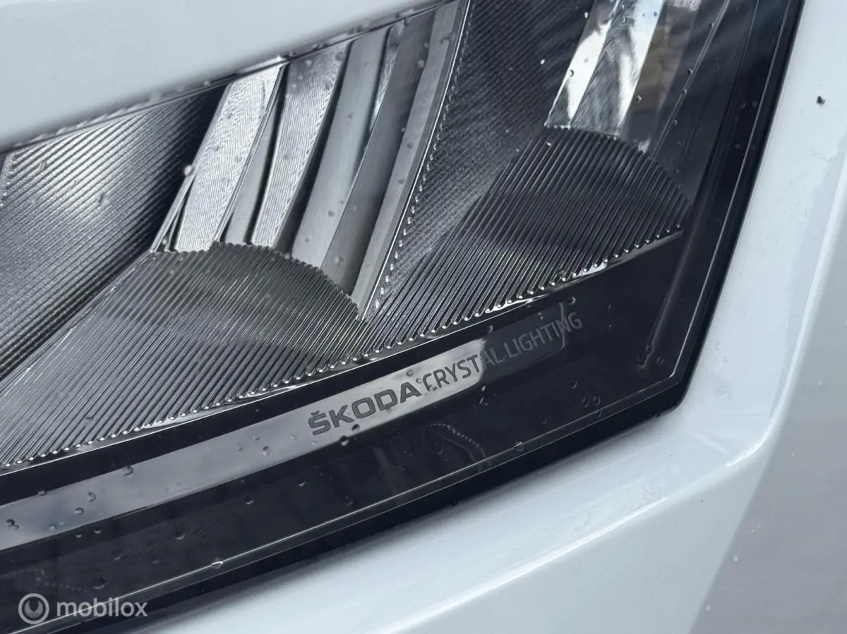 1.0 TSI 116PK DSG Style