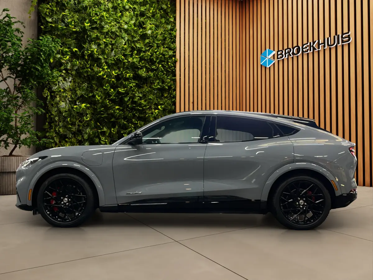 Extended Premium RWD 88 kWh | UNIEK! | Hoogglans zwarte delen | Pano | B&O | Blue Cruise mogelijk | 20'' GT velgen