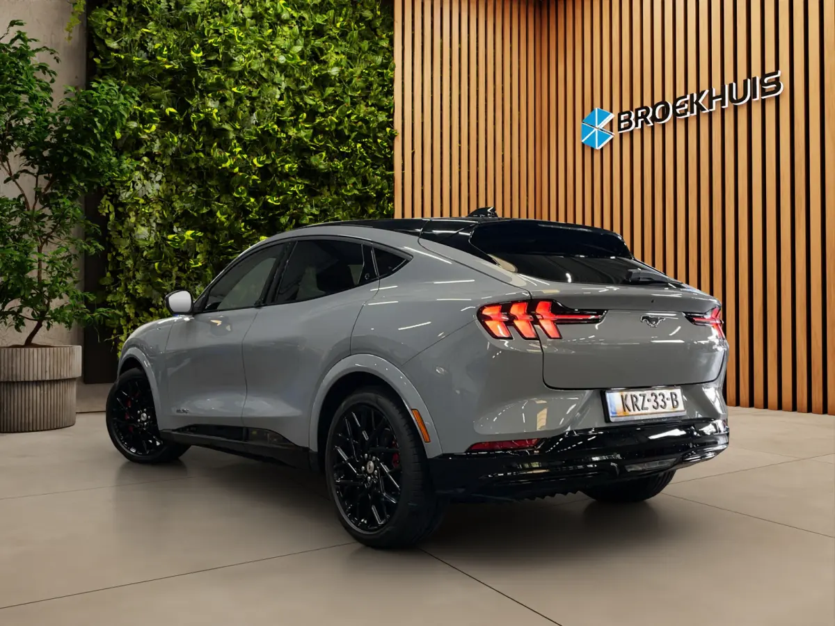 Extended Premium RWD 88 kWh | UNIEK! | Hoogglans zwarte delen | Pano | B&O | Blue Cruise mogelijk | 20'' GT velgen