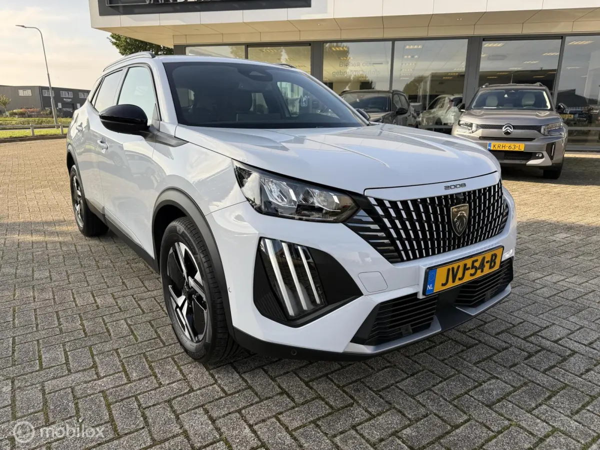 145 PK HYBRID NL AUTO RIJKLAAR PRIJS