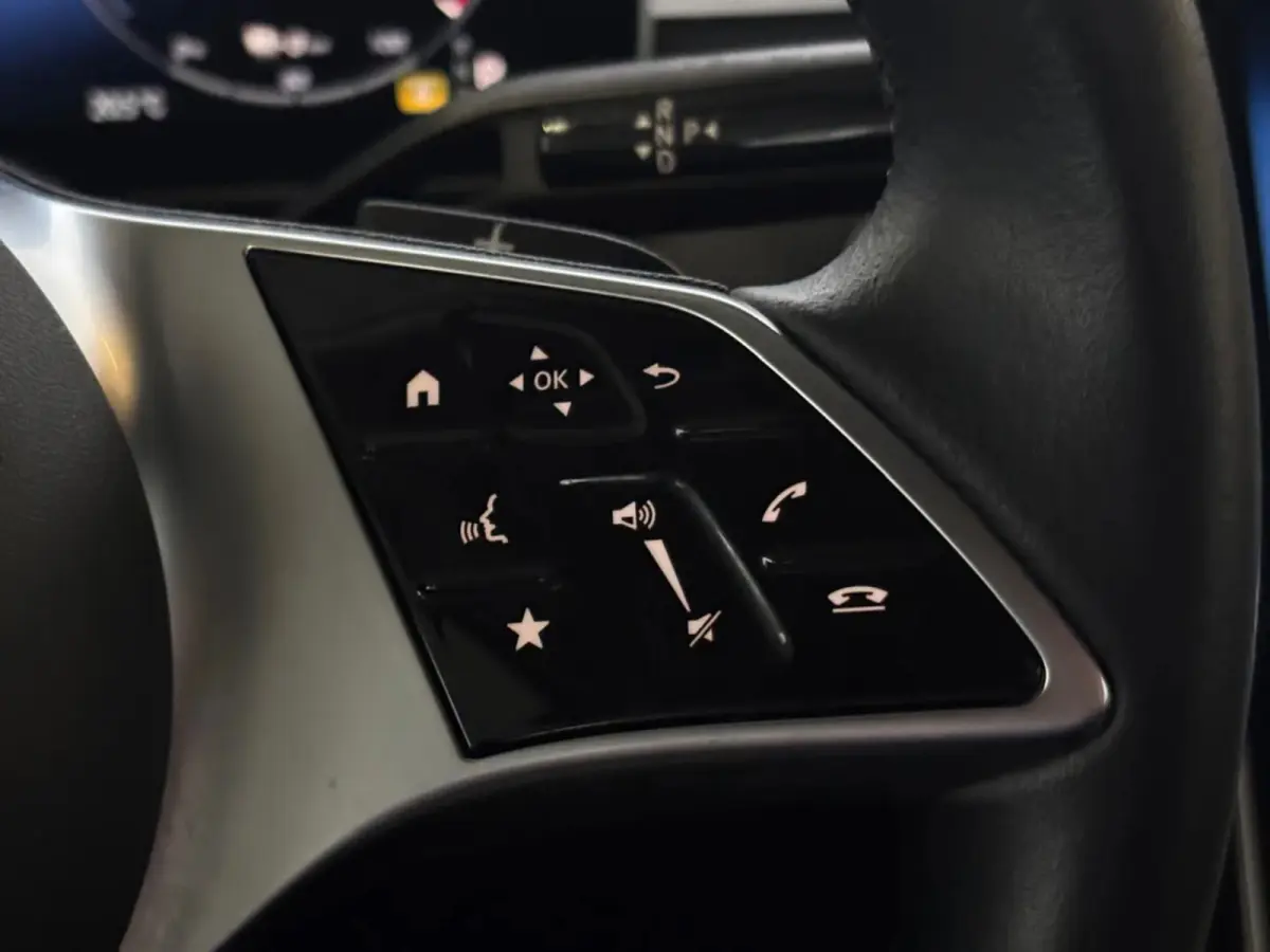 300 e Business Line Limited (Goed OndH, Panorama, Camera, Navi, StoelV, Carplay, SfeerV, Etc)
