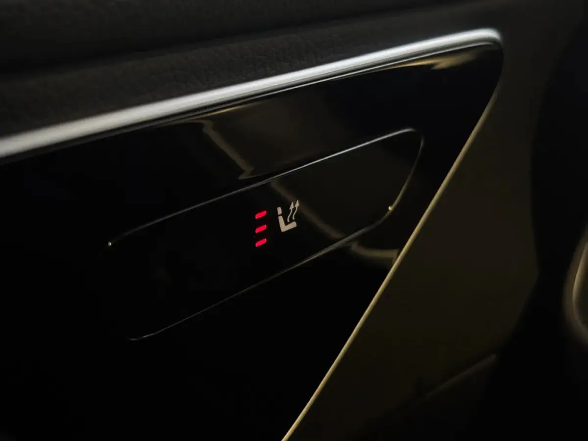 300 e Business Line Limited (Goed OndH, Panorama, Camera, Navi, StoelV, Carplay, SfeerV, Etc)