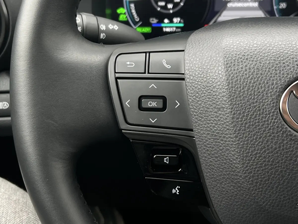 2.0 Plug-in Hybrid 220 Executive | JBL | ACC | Premium LED | Camera