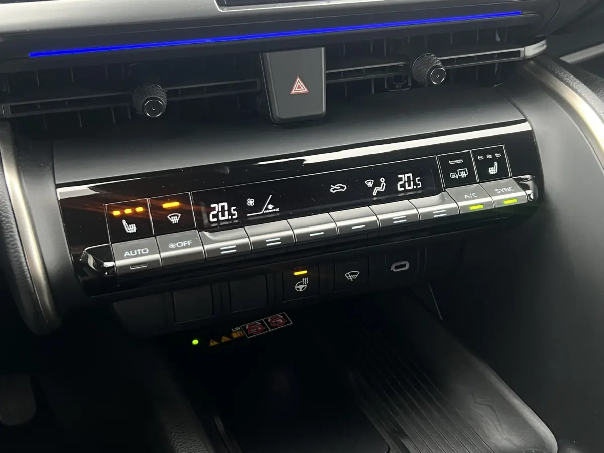 2.0 Plug-in Hybrid 220 Executive | JBL | ACC | Premium LED | Camera