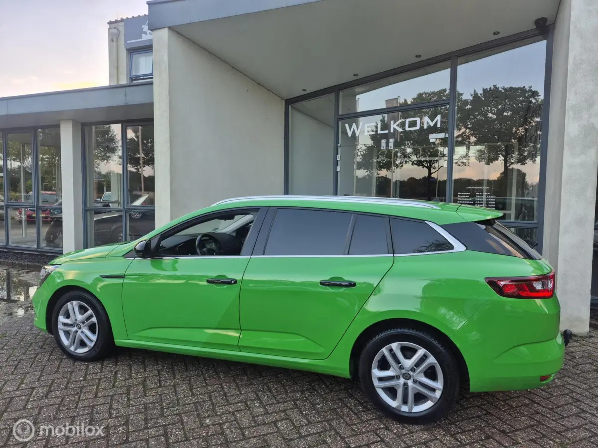 1.3 TCe Zen 2020|Clima|Cruise|T.Haak