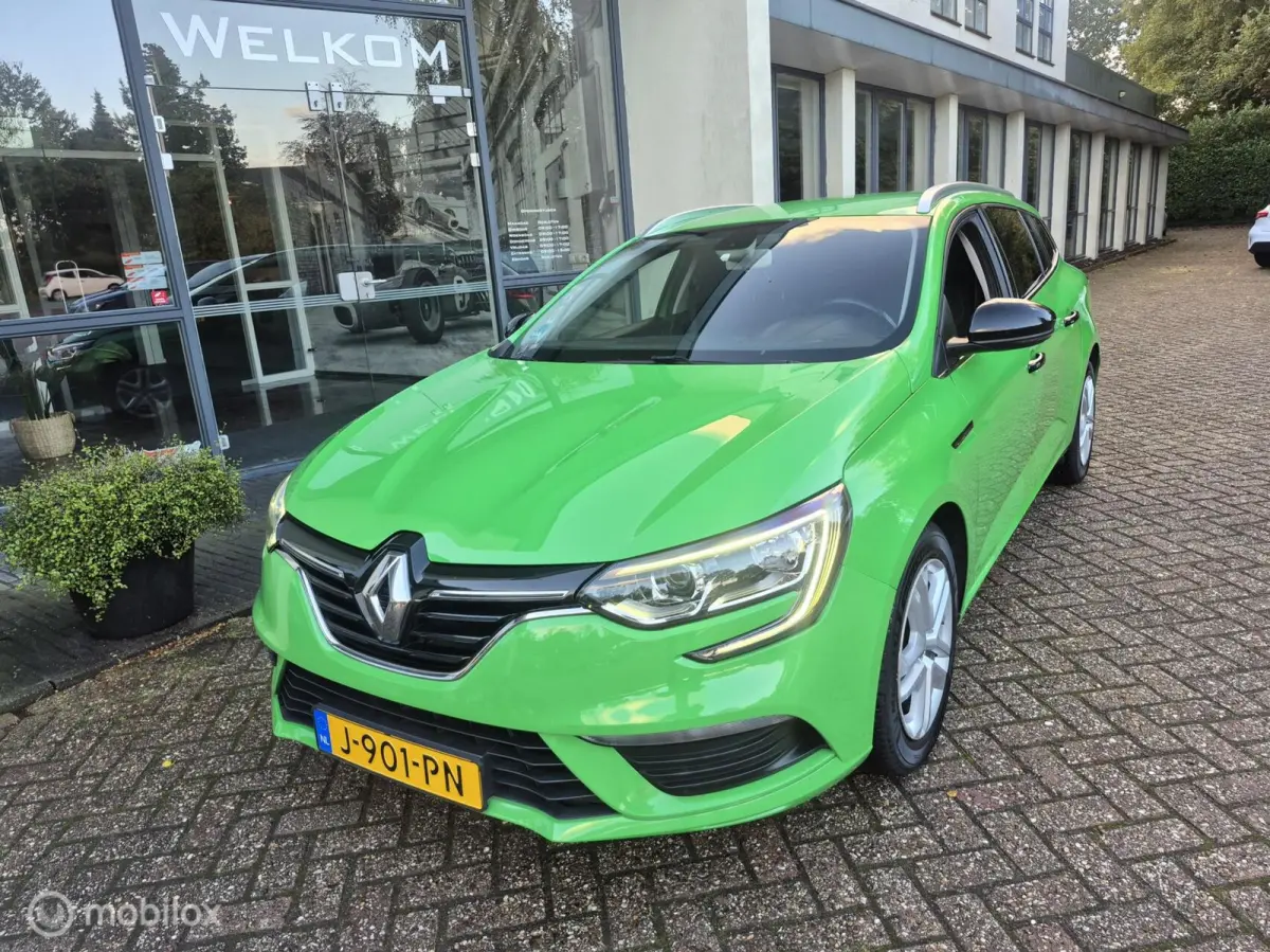 1.3 TCe Zen 2020|Clima|Cruise|T.Haak