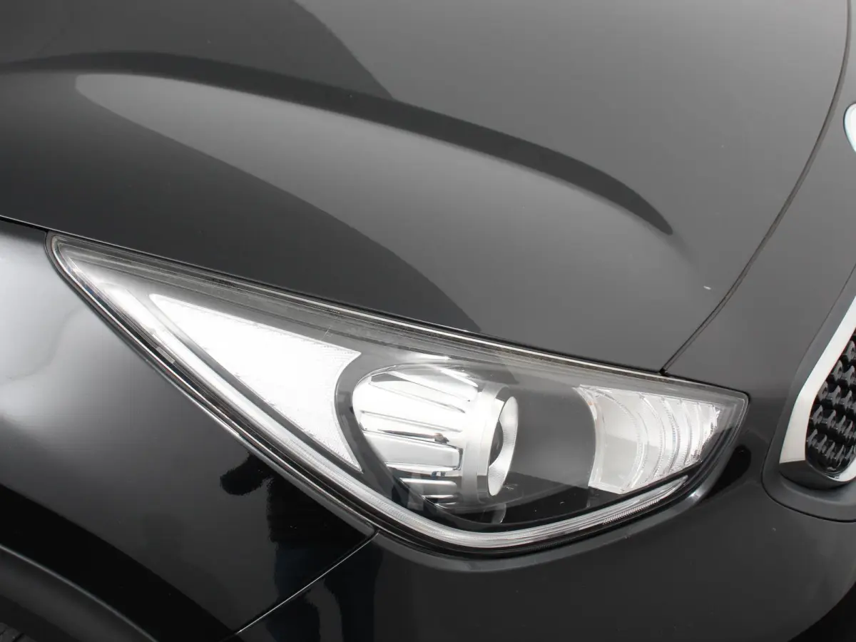 1.6 GDi Hybrid ExecutiveLine Automaat JBL Climate control Cruise control Trekhaak Camera Lichtmetalen velgen Navigatie Stoelverwarming Stoelverkoeling Stuurverwarming