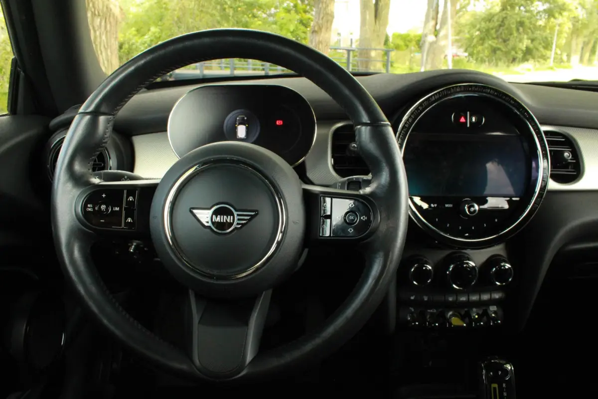 33 kWh |Leer |Stoel/Stuur Verw|Cam|Keyless|99%