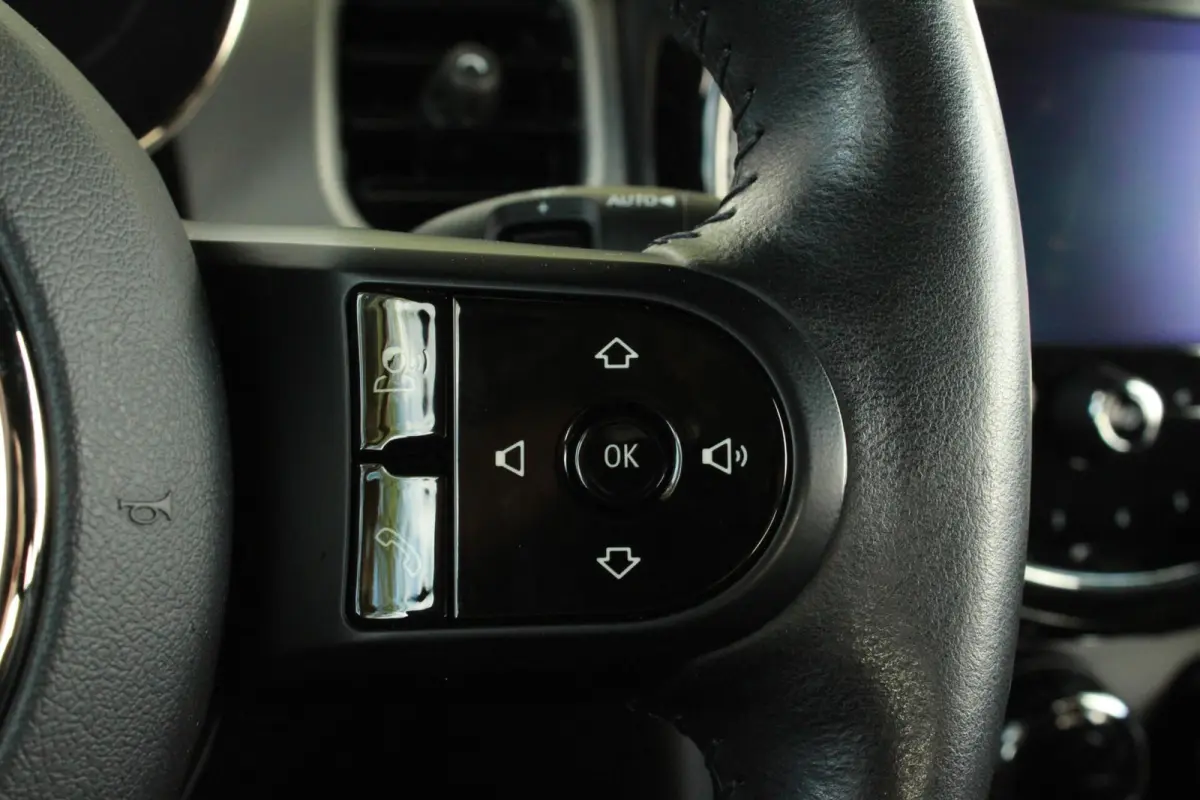 33 kWh |Leer |Stoel/Stuur Verw|Cam|Keyless|99%
