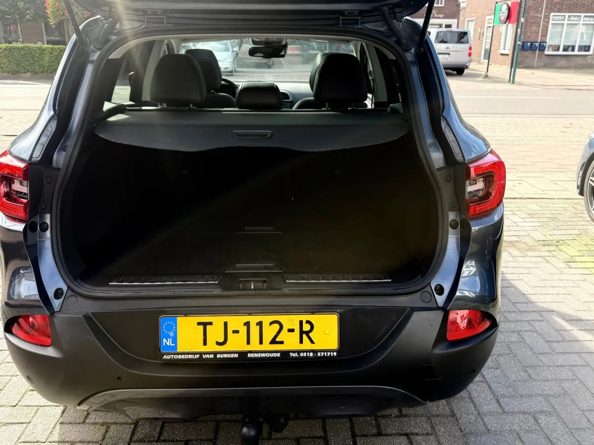 1.2 TCe Intens, Panoramadak,Trekhaak,Stoelverwarming,Stuurverwarming,Apple Carplay/Android