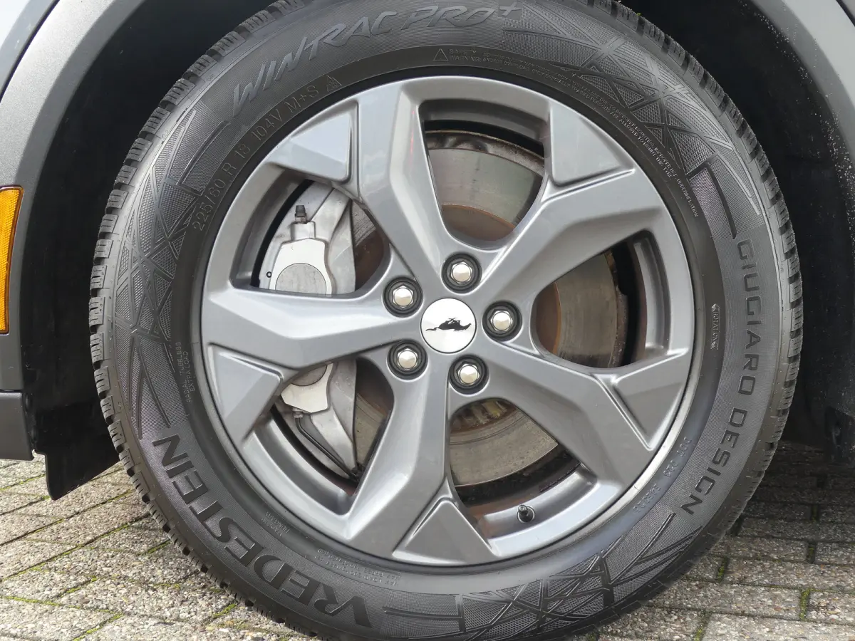 Extended RWD 98 kWh | TREKHAAK | ADAPTIVE CRUISE | DODEHOEKDETECTIE | CAMERA | 360 CAMERA | STOEL+STUUR+VOORRUITVERWARMING | ELEKTRISCHE ACHTERKLEP | PARKEERSENSOREN V+A | B&O AUDIO | APPLE 