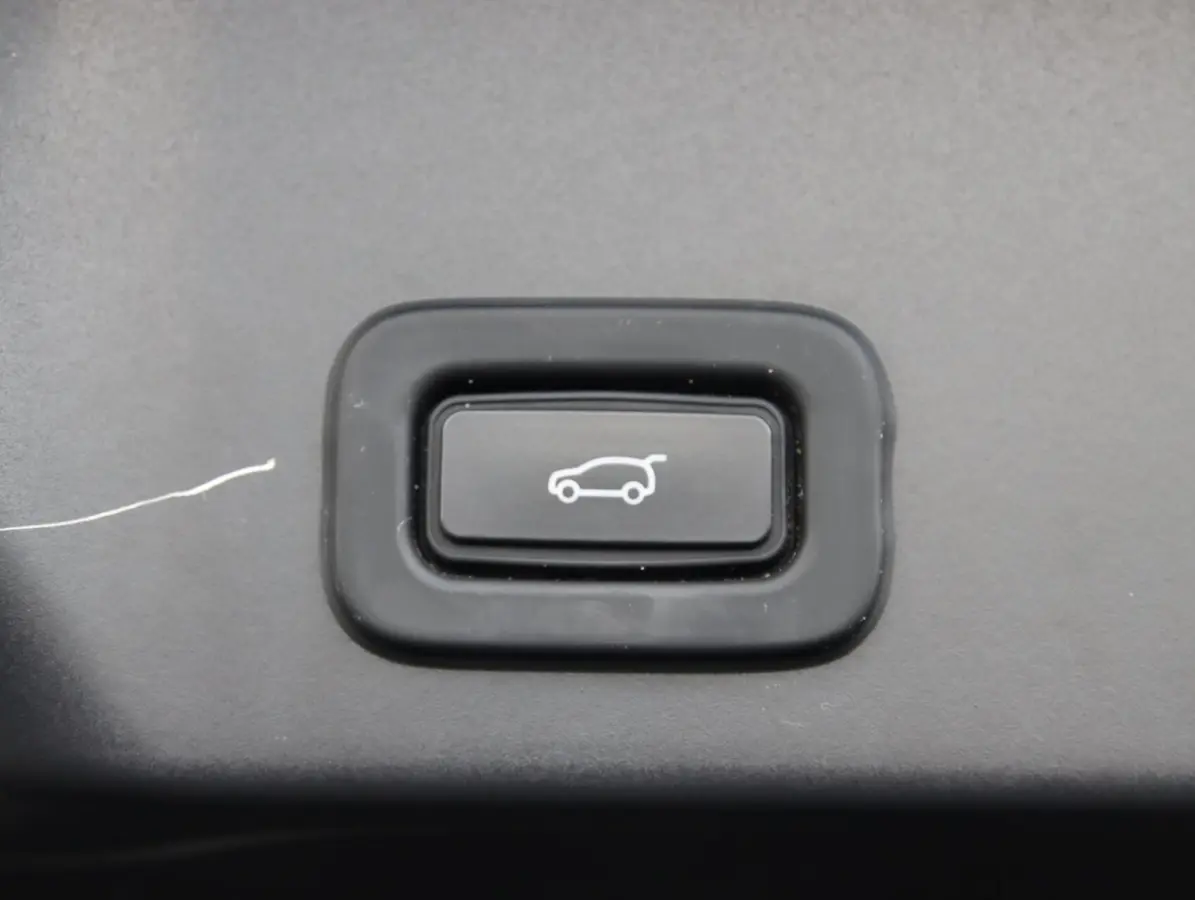 1.5 P300e AWD R-Dynamic | SOH 96%