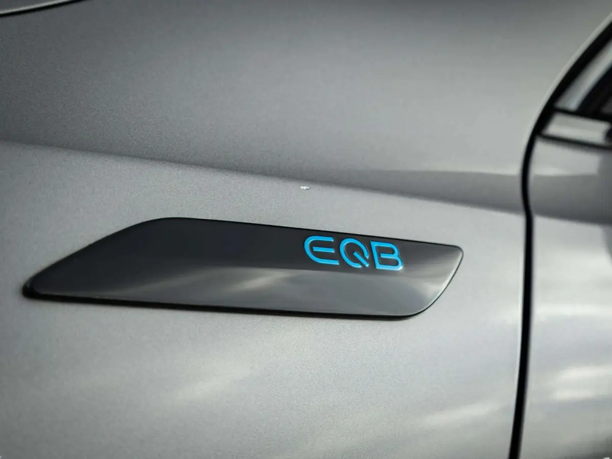 300 4MATIC AMG Line 7p. 67 kWh | Panorama dak
