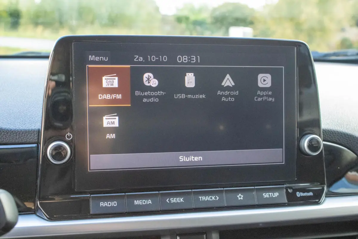 1.0 DPi DynamicLine|Stoel & Stuur Verwarming|Camera|Carplay