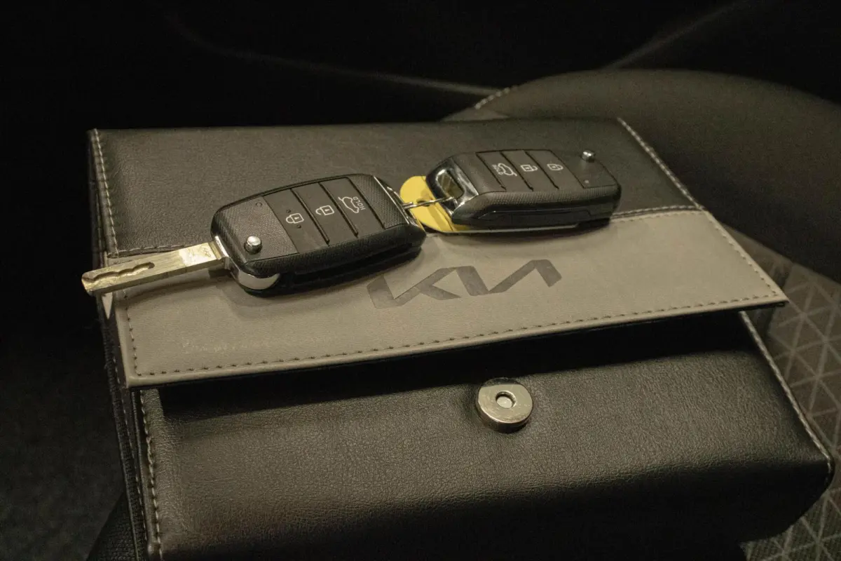 1.0 DPi DynamicLine|Stoel & Stuur Verwarming|Camera|Carplay