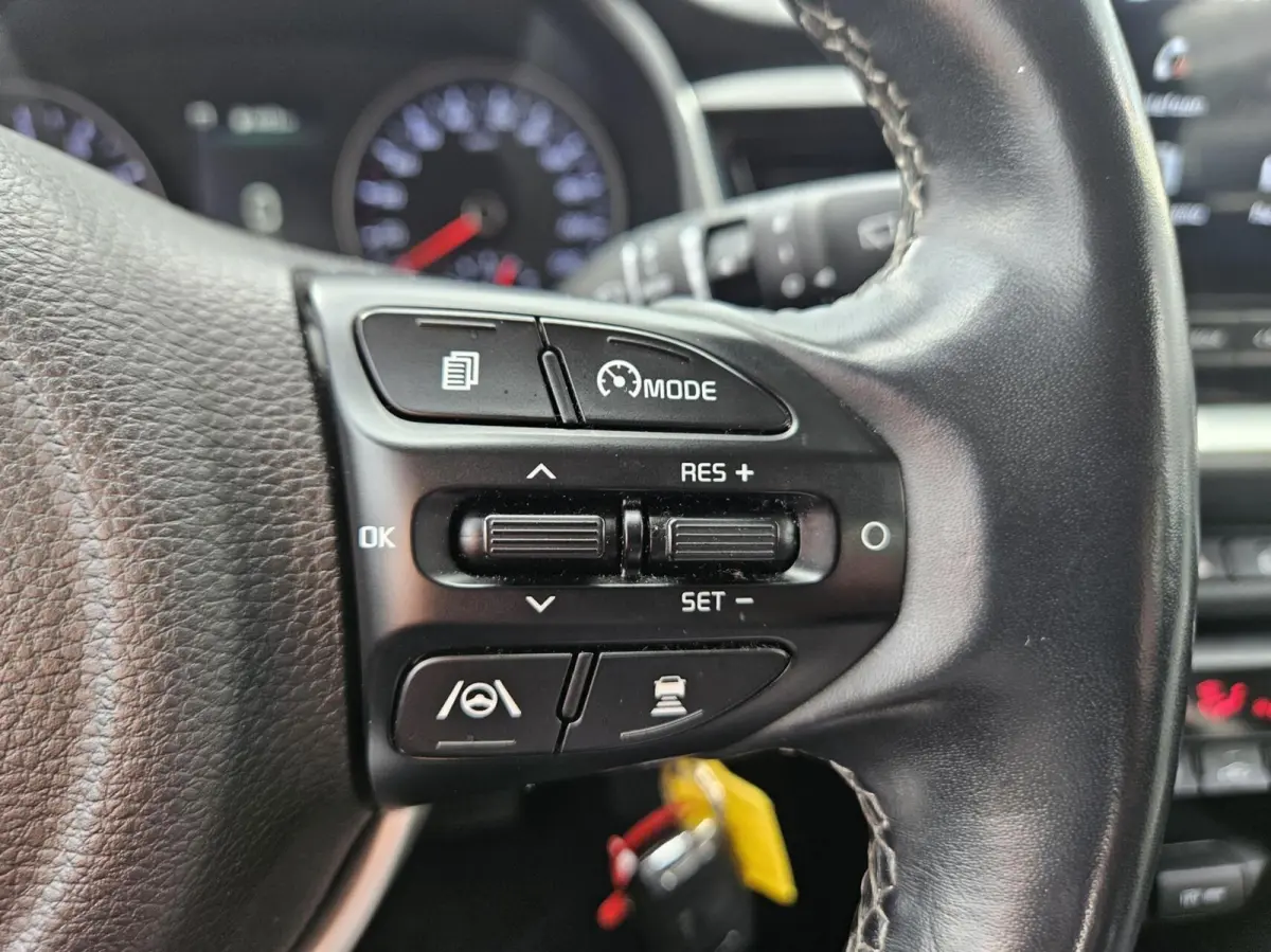 1.0 T-GDi MHEV DynamicLine AUTOMAAT | VEEL OPTIES!