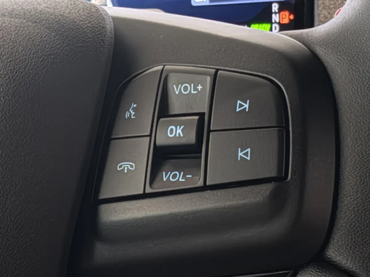 Extended Premium RWD 88 kWh | B&O | ADAPTIVE CRUISE CONTROL | ACHTERUITRIJCAMERA |