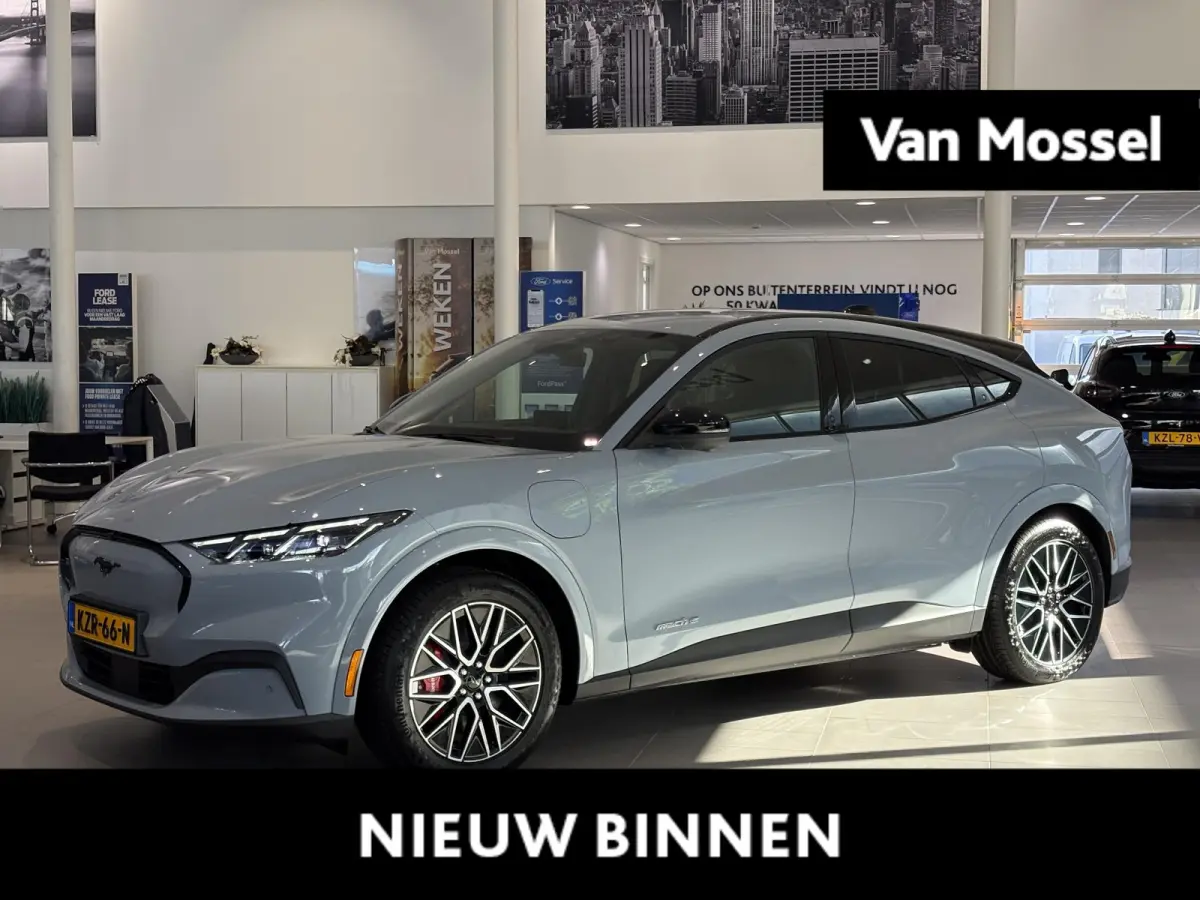 Extended Premium RWD 88 kWh | B&O | ADAPTIVE CRUISE CONTROL | ACHTERUITRIJCAMERA |