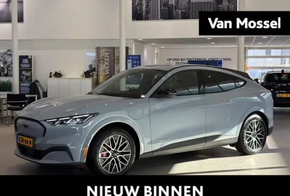 Extended Premium RWD 88 kWh | B&O | ADAPTIVE CRUISE CONTROL | ACHTERUITRIJCAMERA |